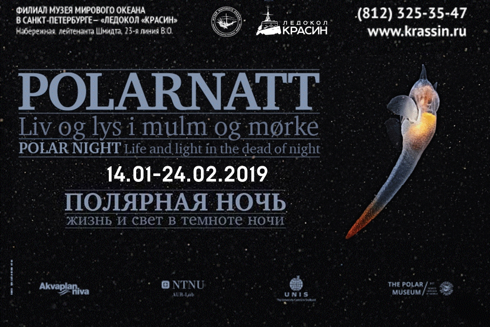 Exhibition opening: Polar night – Life and light in the dead of night