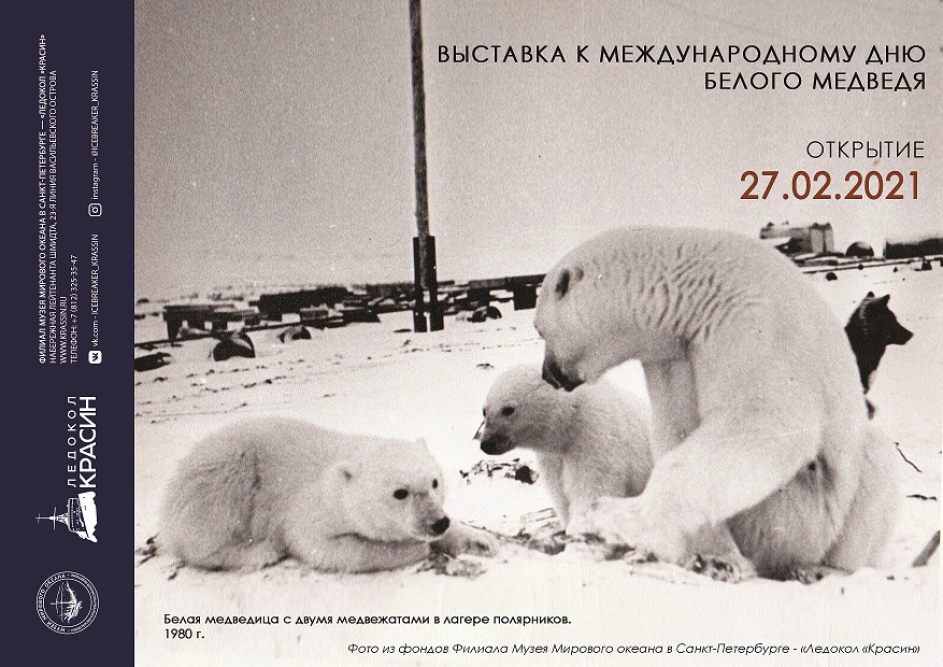 Выставка к международному дню белого медведя